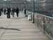  Passerelle des Arts